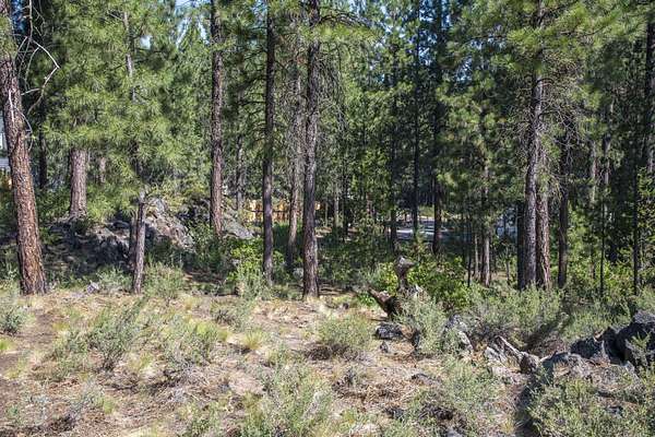 0.52 Acres of Residential Land for Sale in Bend, Oregon