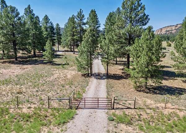 5 Acres of Residential Land for Sale in Ramah, New Mexico