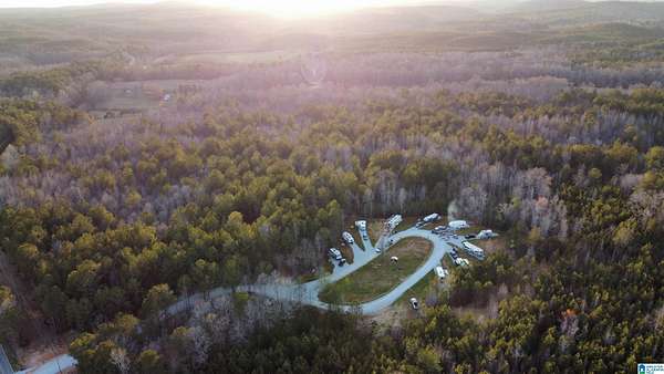 78.4 Acres of Recreational Land for Sale in Cragford, Alabama