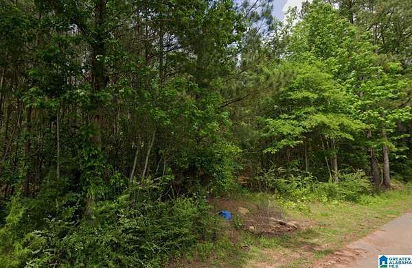 2 Acres of Land for Sale in Bessemer, Alabama