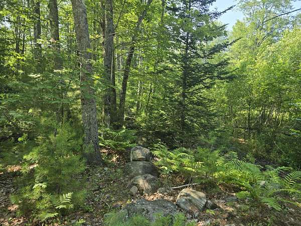4 Acres of Residential Land for Sale in Alna, Maine