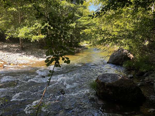 32.5 Acres of Recreational Land for Sale in Cave Junction, Oregon