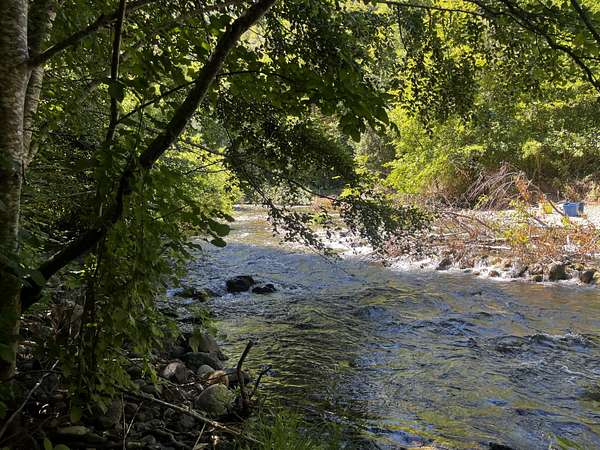32.5 Acres of Land for Sale in Cave Junction, Oregon