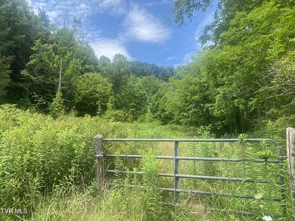 28.6 Acres of Recreational Land & Farm for Sale in Roan Mountain, Tennessee