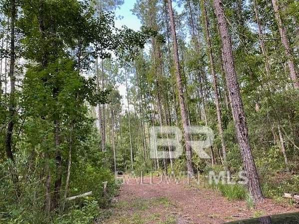9 Acres of Residential Land for Sale in Andalusia, Alabama