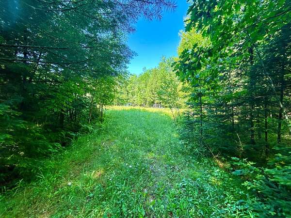 40 Acres of Recreational Land for Sale in Crandon, Wisconsin