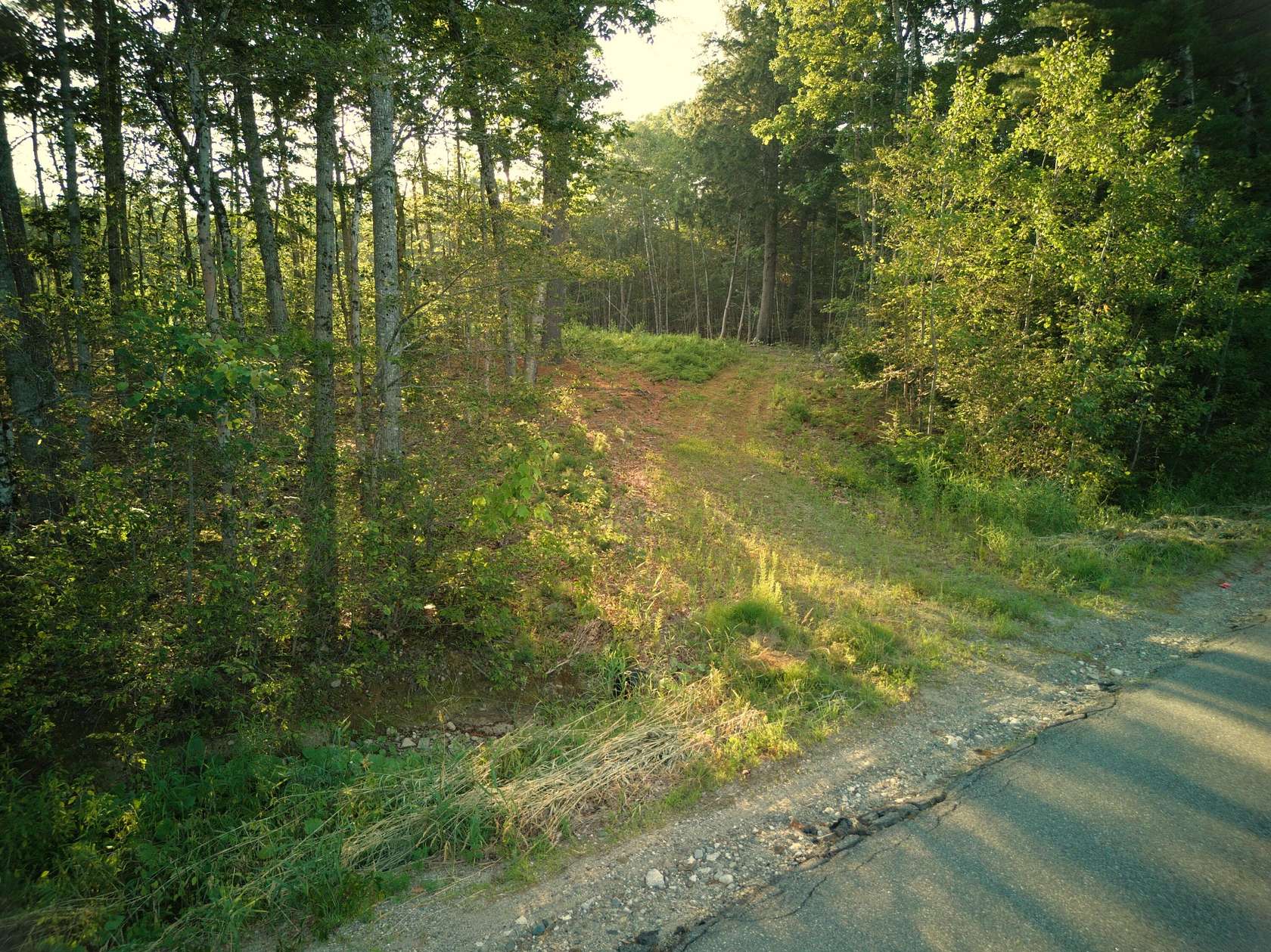 4.4 Acres of Residential Land for Sale in Bucksport, Maine