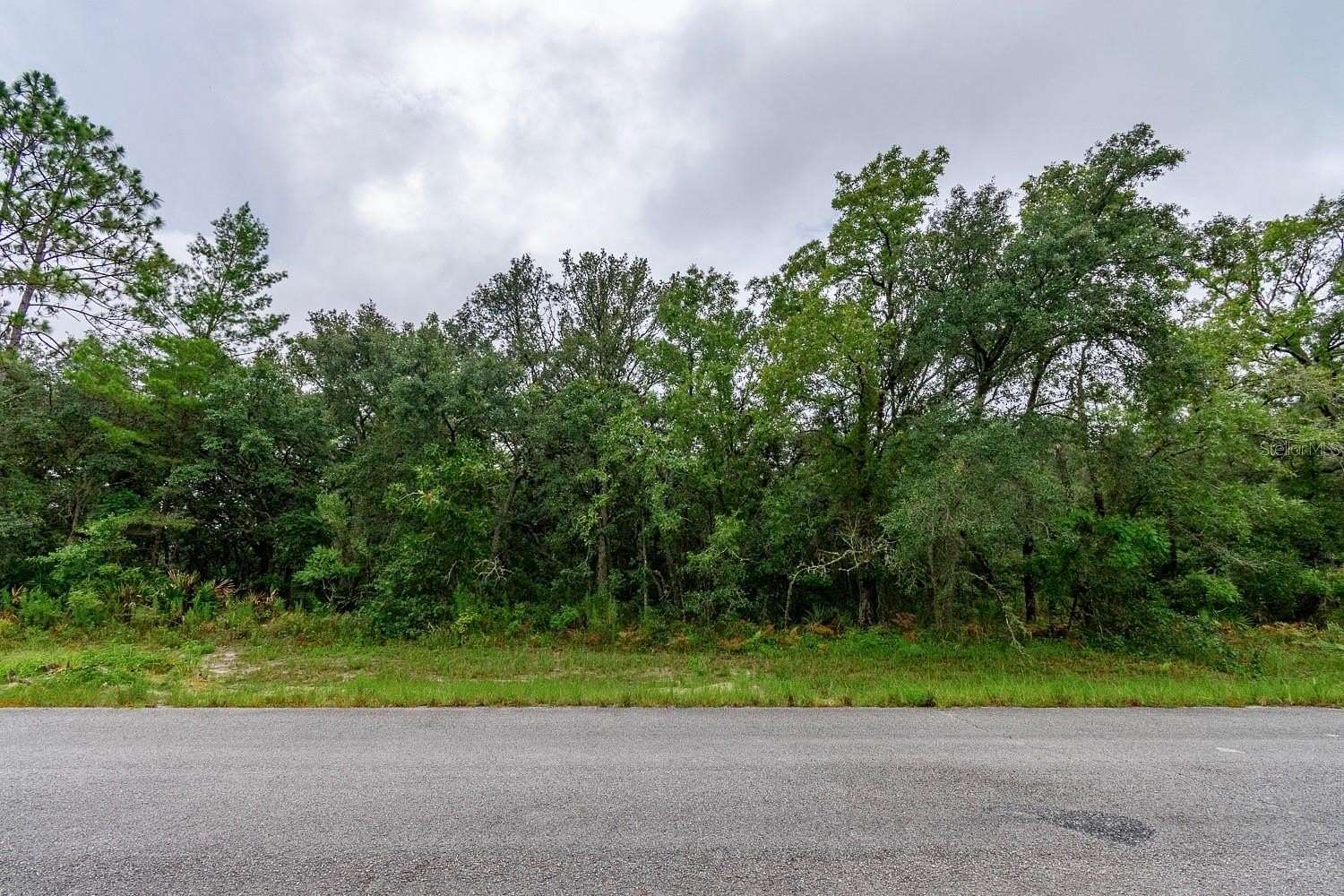 0.23 Acres of Residential Land for Sale in Ocala, Florida