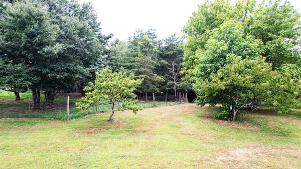 9 Acres of Residential Land for Sale in Trenton, Georgia