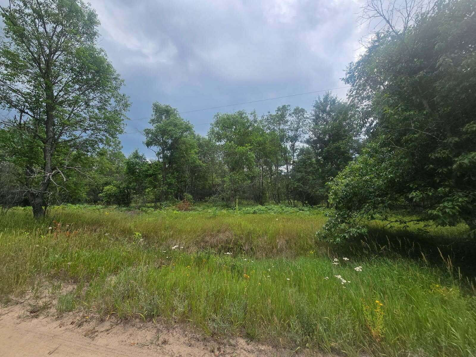10 Acres of Recreational Land for Sale in Fife Lake, Michigan