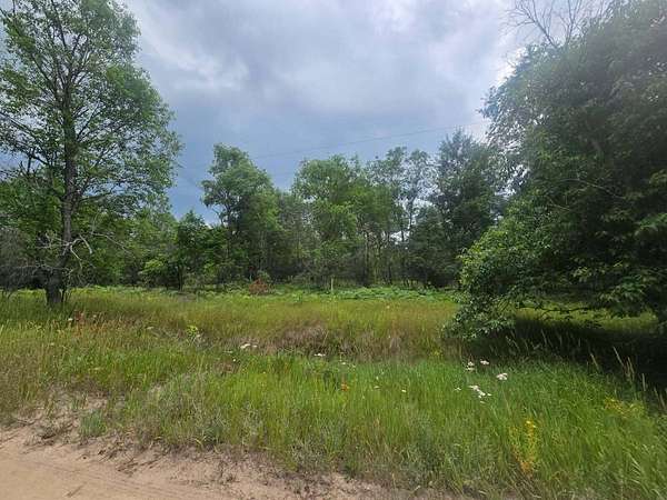 10 Acres of Recreational Land for Sale in Fife Lake, Michigan