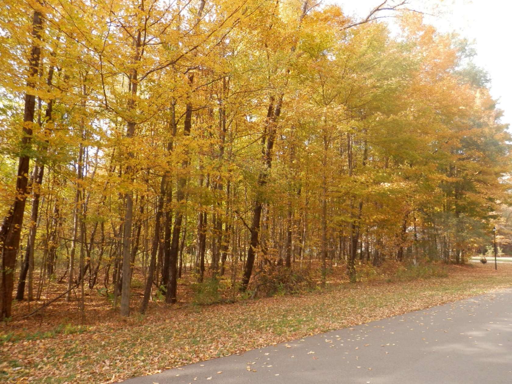 1 Acre of Residential Land for Sale in Watervliet, Michigan