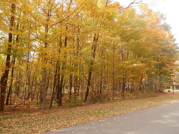 1 Acre of Residential Land for Sale in Watervliet, Michigan