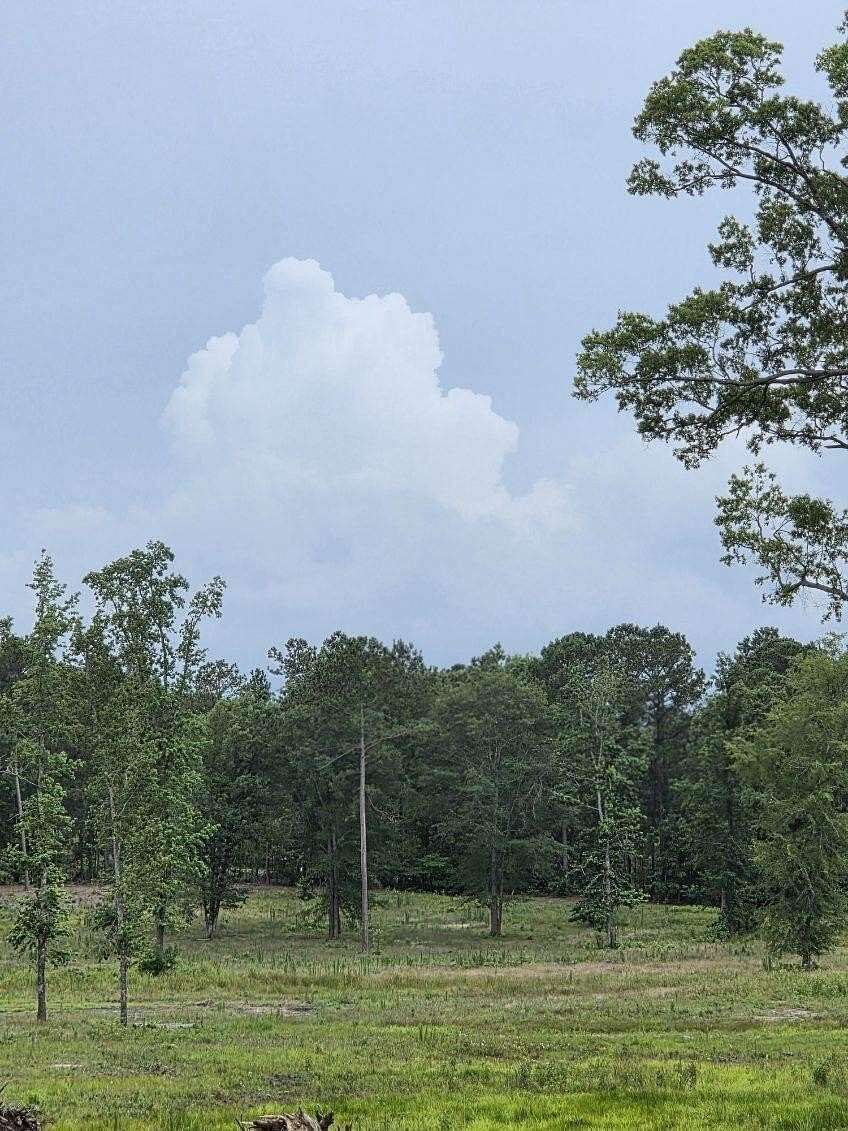 Residential Land for Sale in Harlem, Georgia