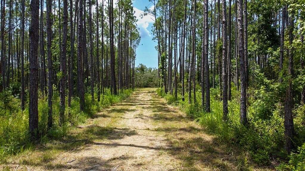 10.4 Acres of Land for Sale in Steinhatchee, Florida