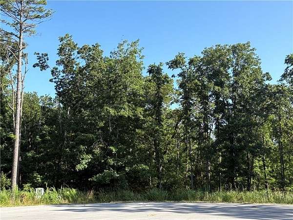 0.49 Acres of Residential Land for Sale in Bella Vista, Arkansas