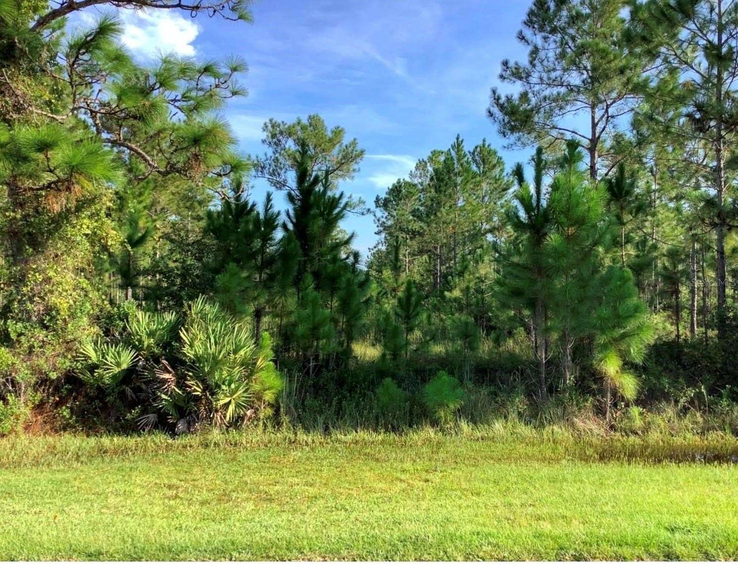 1.24 Acres of Residential Land for Sale in Orlando, Florida