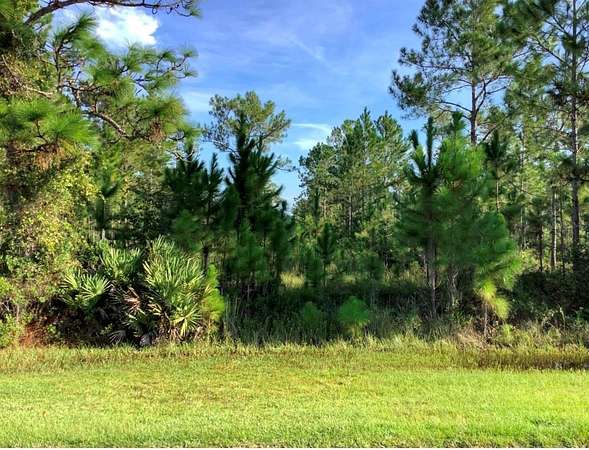 1.24 Acres of Residential Land for Sale in Orlando, Florida