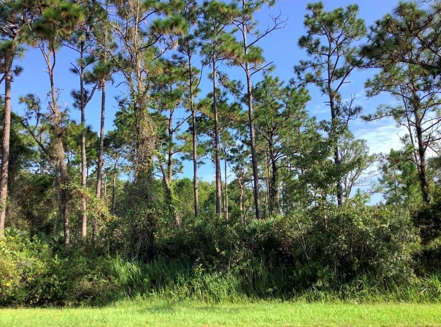 1.62 Acres of Residential Land for Sale in Orlando, Florida