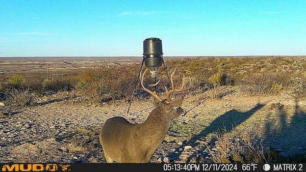 129 Acres of Recreational Land for Sale in Dryden, Texas