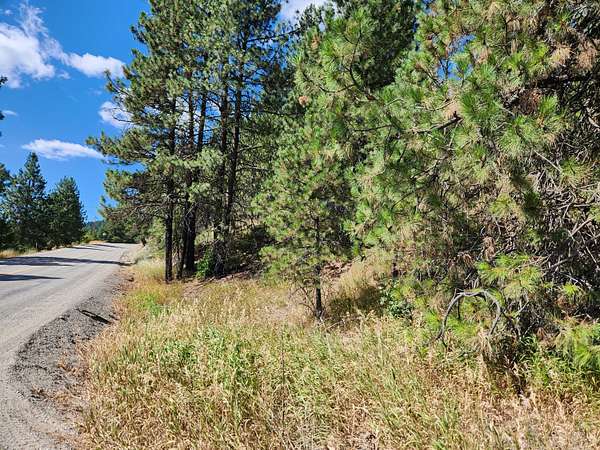 0.85 Acres of Residential Land for Sale in Republic, Washington