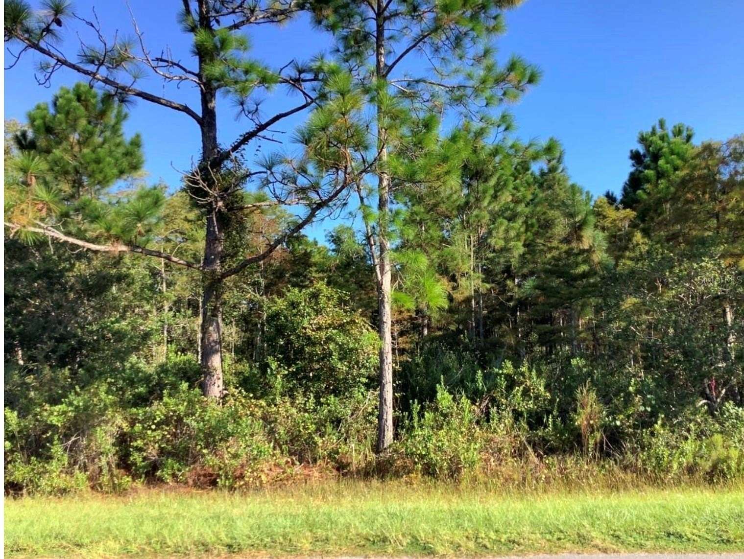 1 Acre of Residential Land for Sale in Orlando, Florida