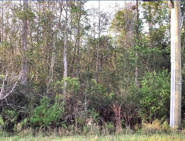 1 Acre of Residential Land for Sale in Orlando, Florida