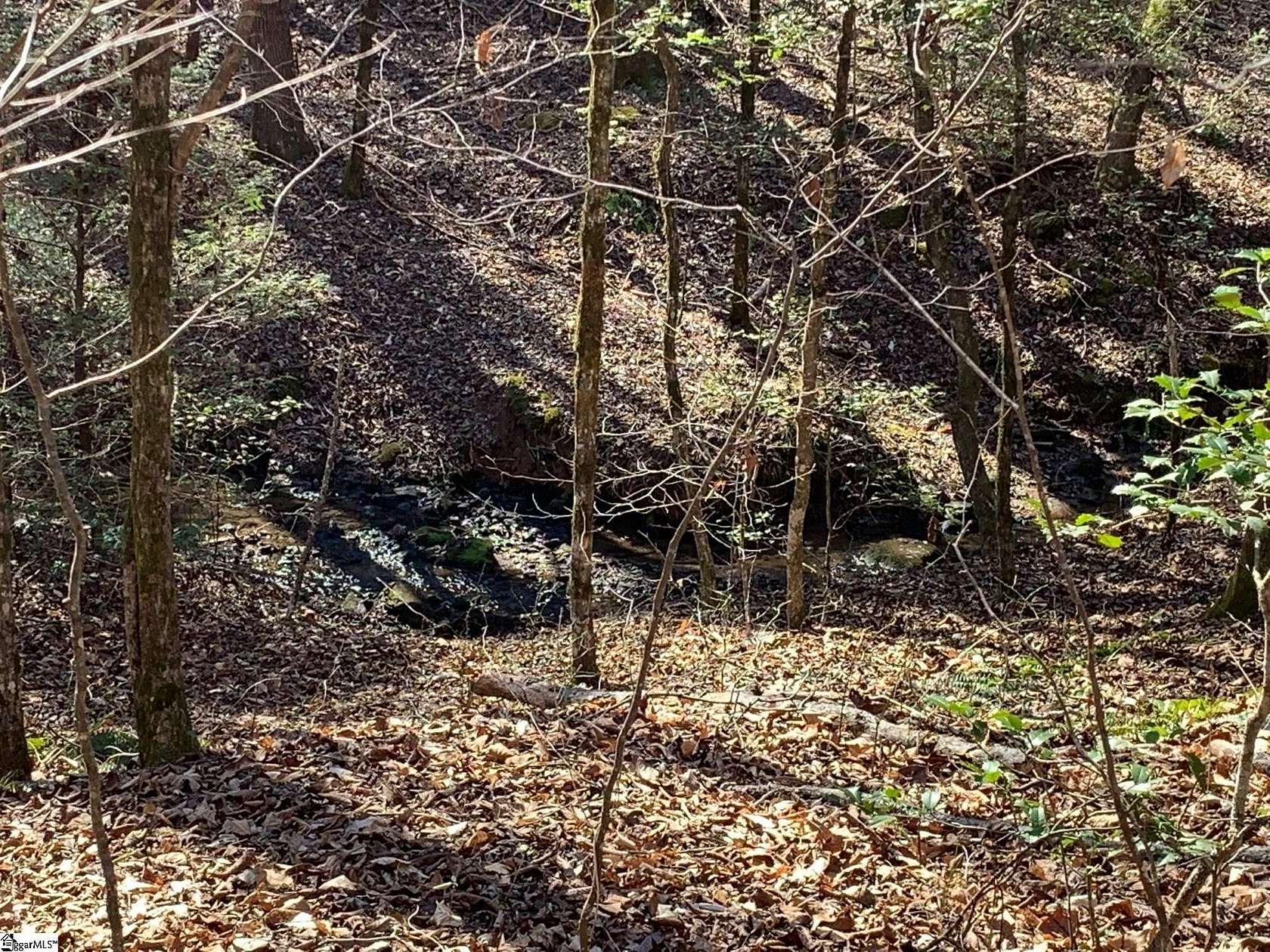 5 Acres of Residential Land for Sale in Marietta, South Carolina