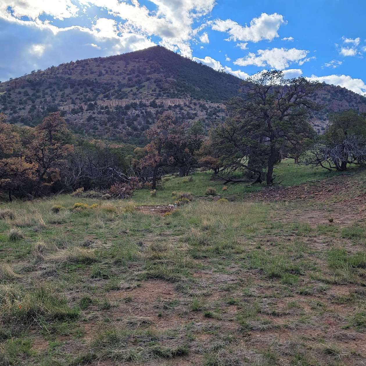 10.4 Acres of Recreational Land for Sale in Datil, New Mexico