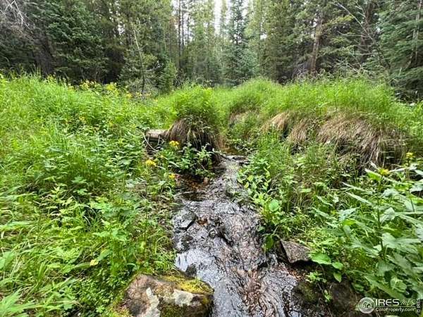40 Acres of Recreational Land for Sale in Red Feather Lakes, Colorado