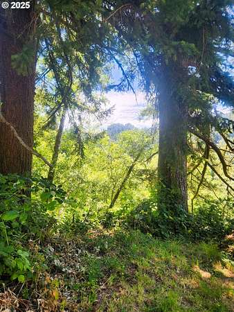 0.12 Acres of Land for Sale in Mapleton, Oregon