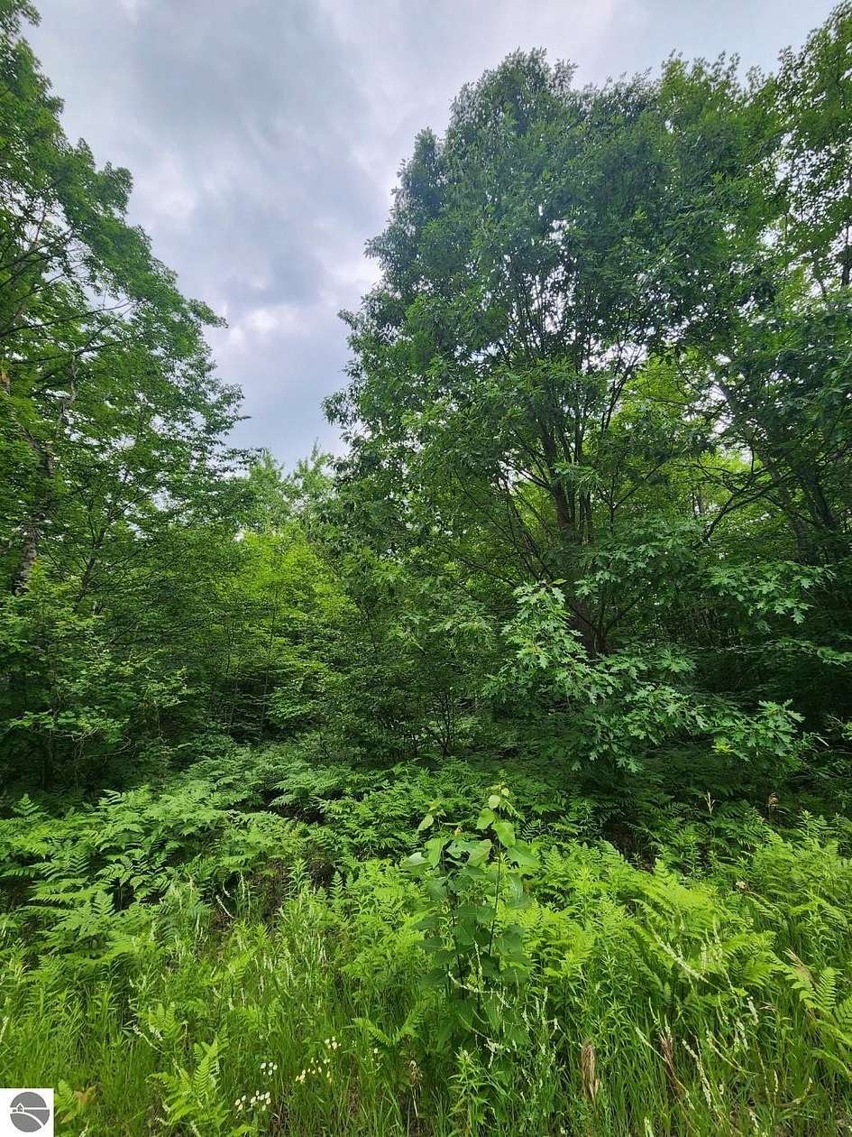 0.4 Acres of Residential Land for Sale in Elmira, Michigan