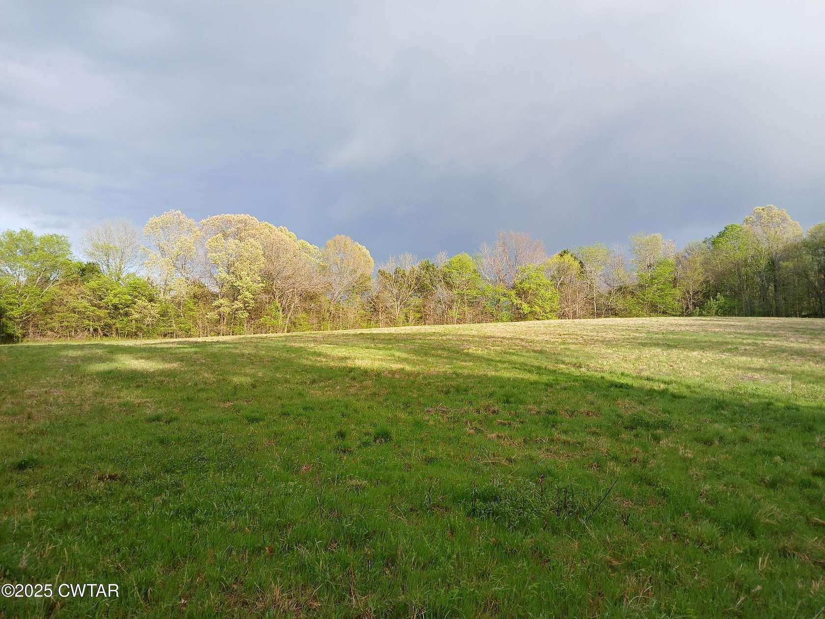 49.5 Acres of Land for Sale in Humboldt, Tennessee