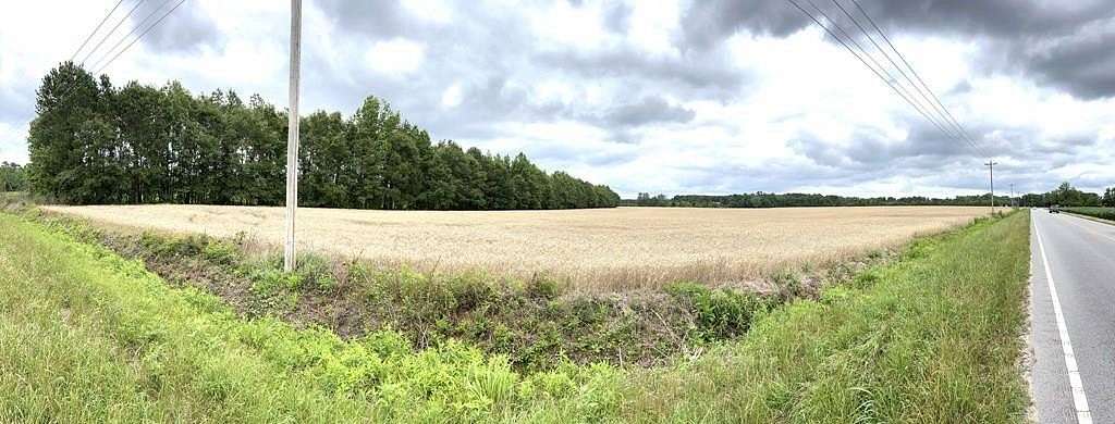 149 Acres of Land for Sale in Manning, South Carolina