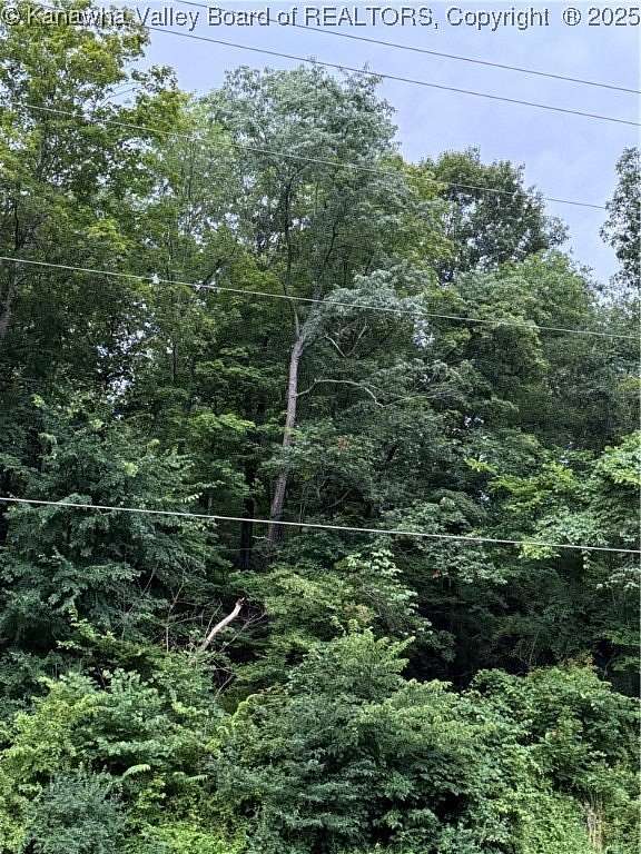 0.75 Acres of Land for Sale in Peytona, West Virginia