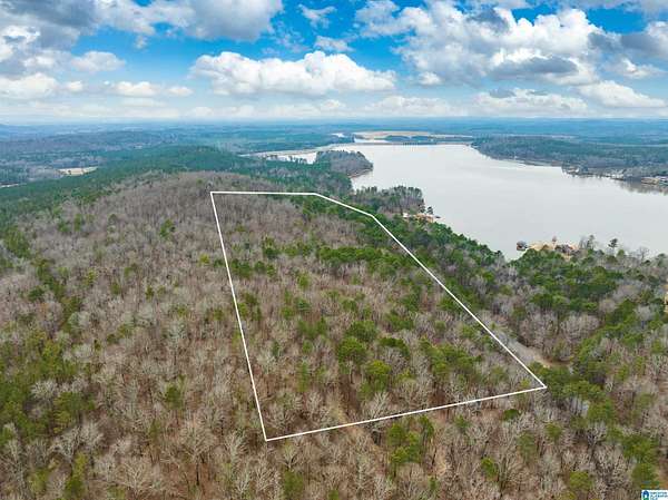 34.4 Acres of Recreational Land for Sale in Alpine, Alabama