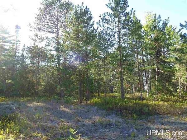 3.16 Acres of Land for Sale in Lake Linden, Michigan