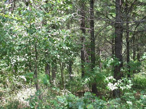 12.4 Acres of Land for Sale in Nashoba, Oklahoma