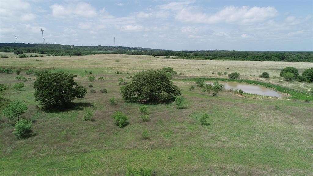 11 Acres of Land for Sale in Mingus, Texas