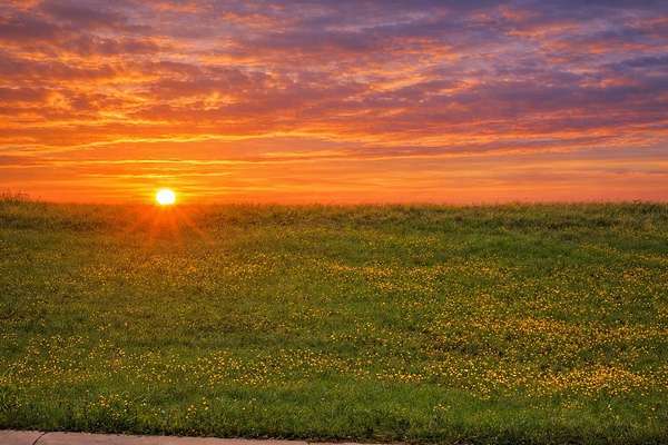 0.72 Acres of Residential Land for Sale in Lewisville, Texas