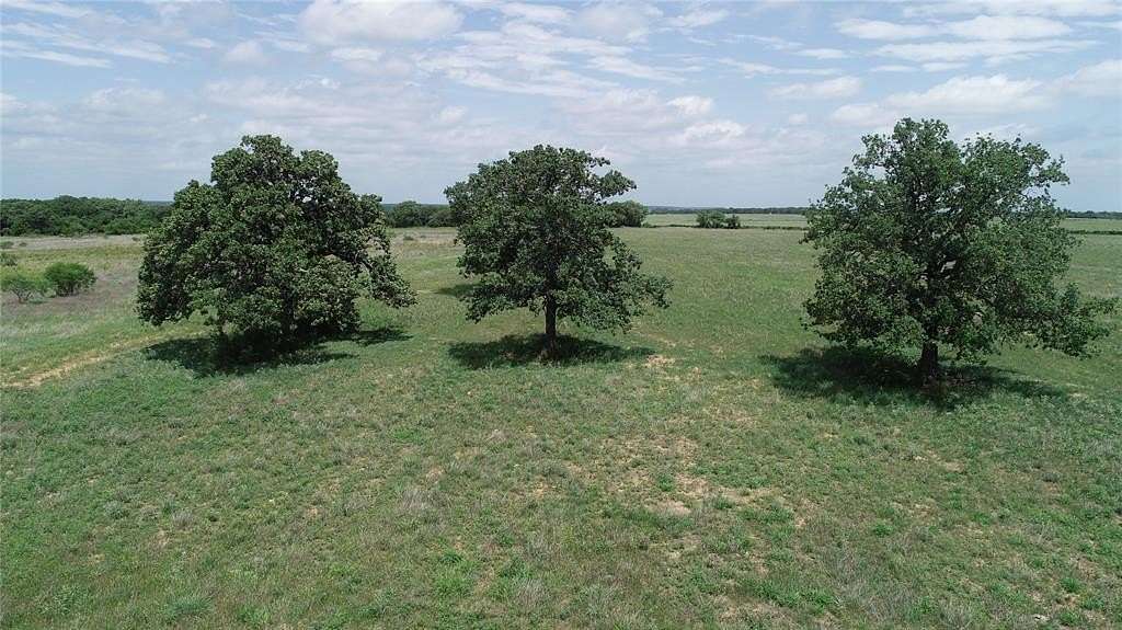 11 Acres of Land for Sale in Mingus, Texas