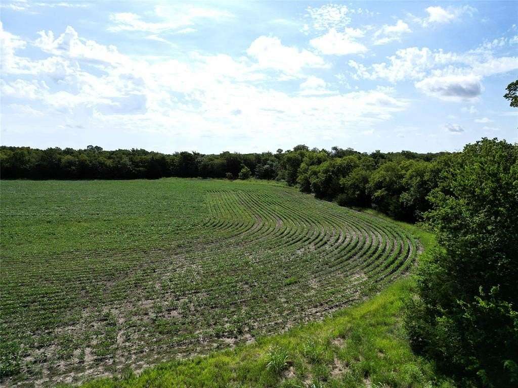 25 Acres of Recreational Land & Farm for Sale in Klondike, Texas