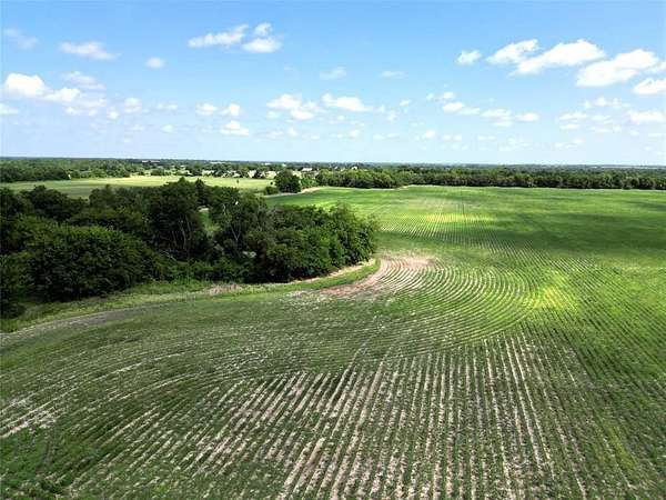 48 Acres of Agricultural Land for Sale in Klondike, Texas