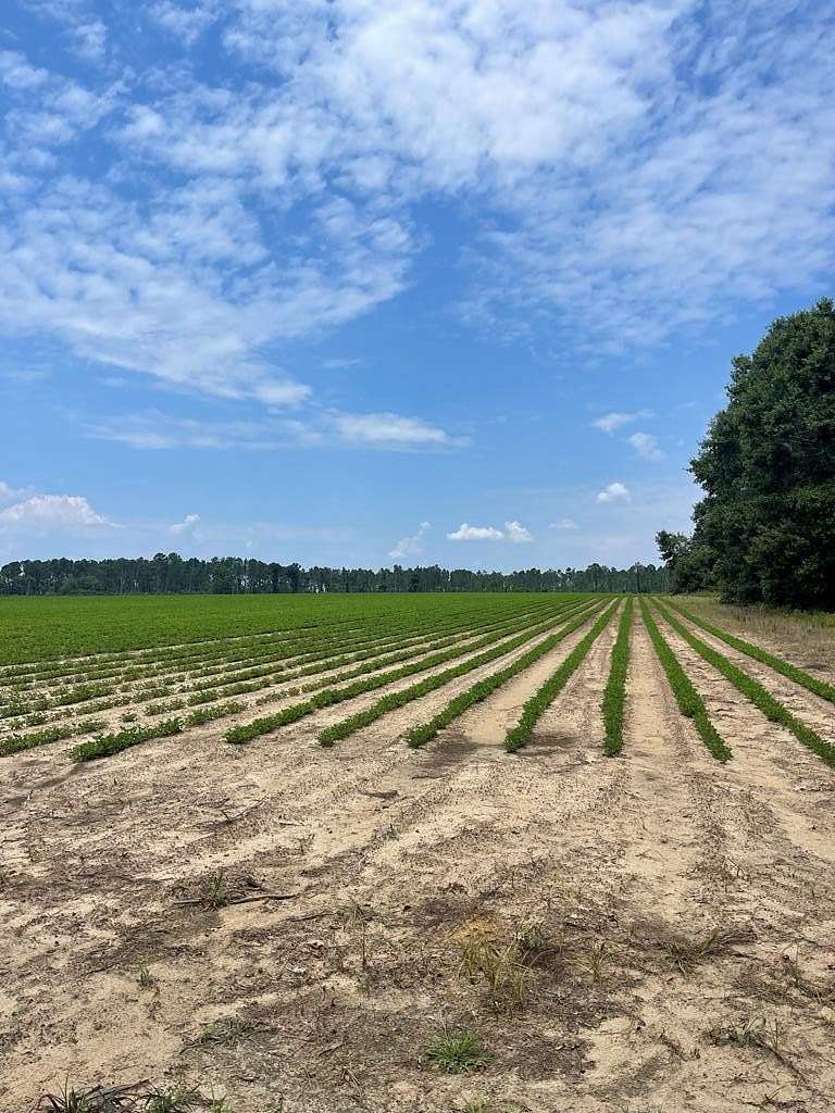 106 Acres of Land with Home for Sale in Nashville, Georgia
