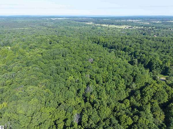 2.5 Acres of Land for Sale in Elmira, Michigan