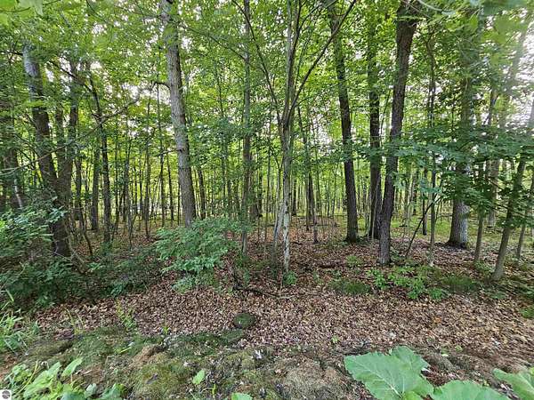 0.74 Acres of Residential Land for Sale in South Branch, Michigan