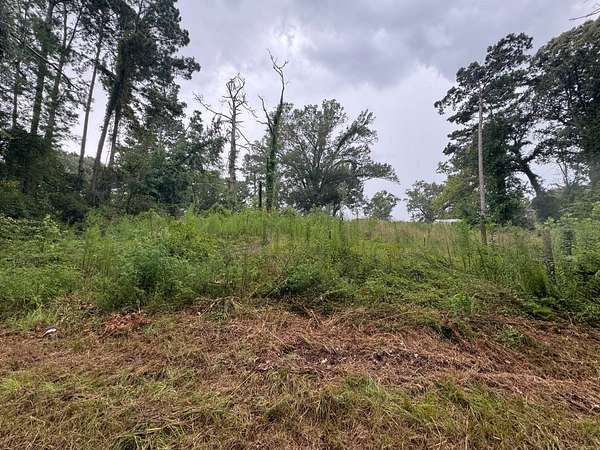 0.2 Acres of Land for Sale in Converse, Louisiana
