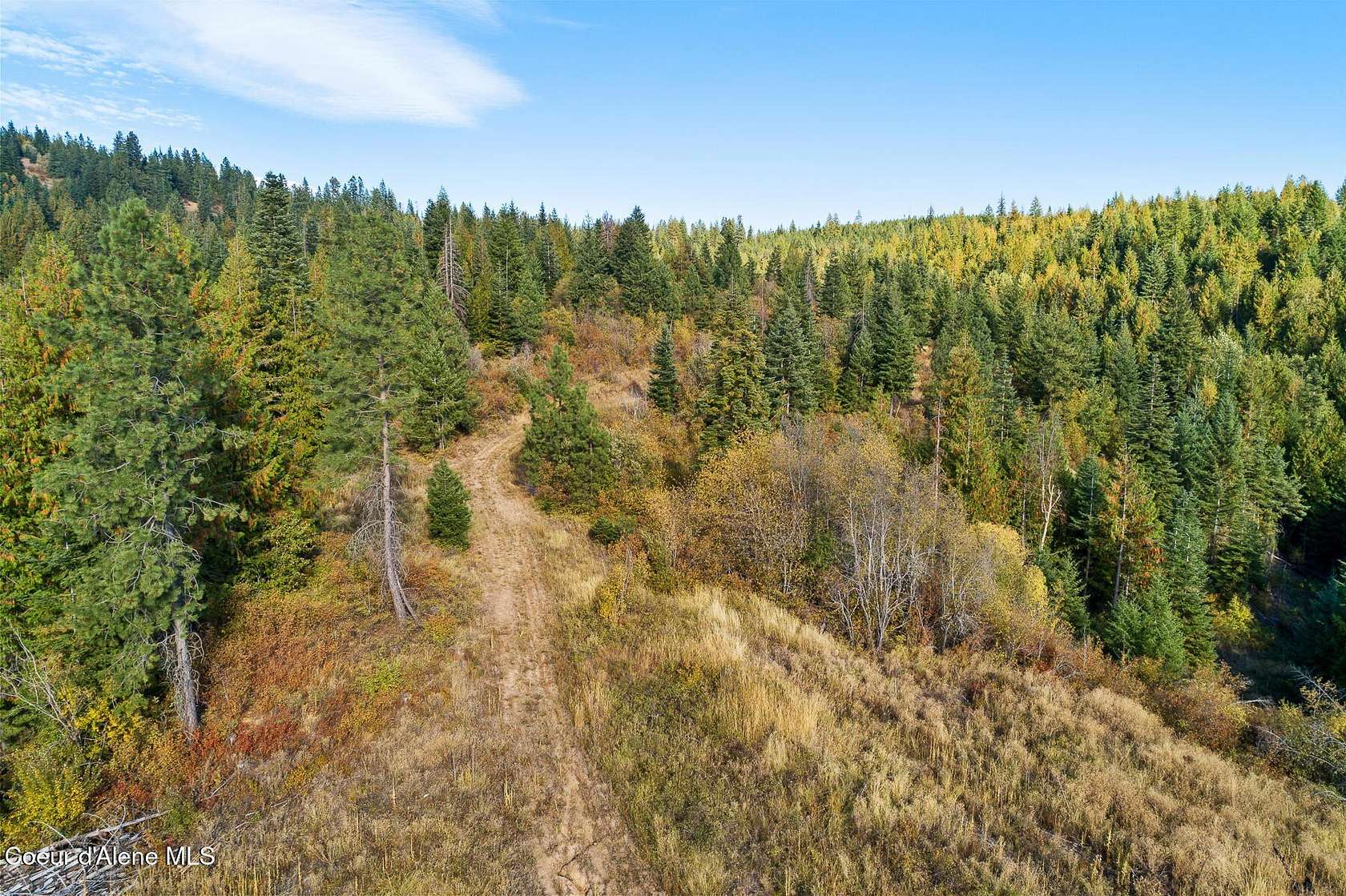 79.7 Acres of Land for Sale in Rathdrum, Idaho