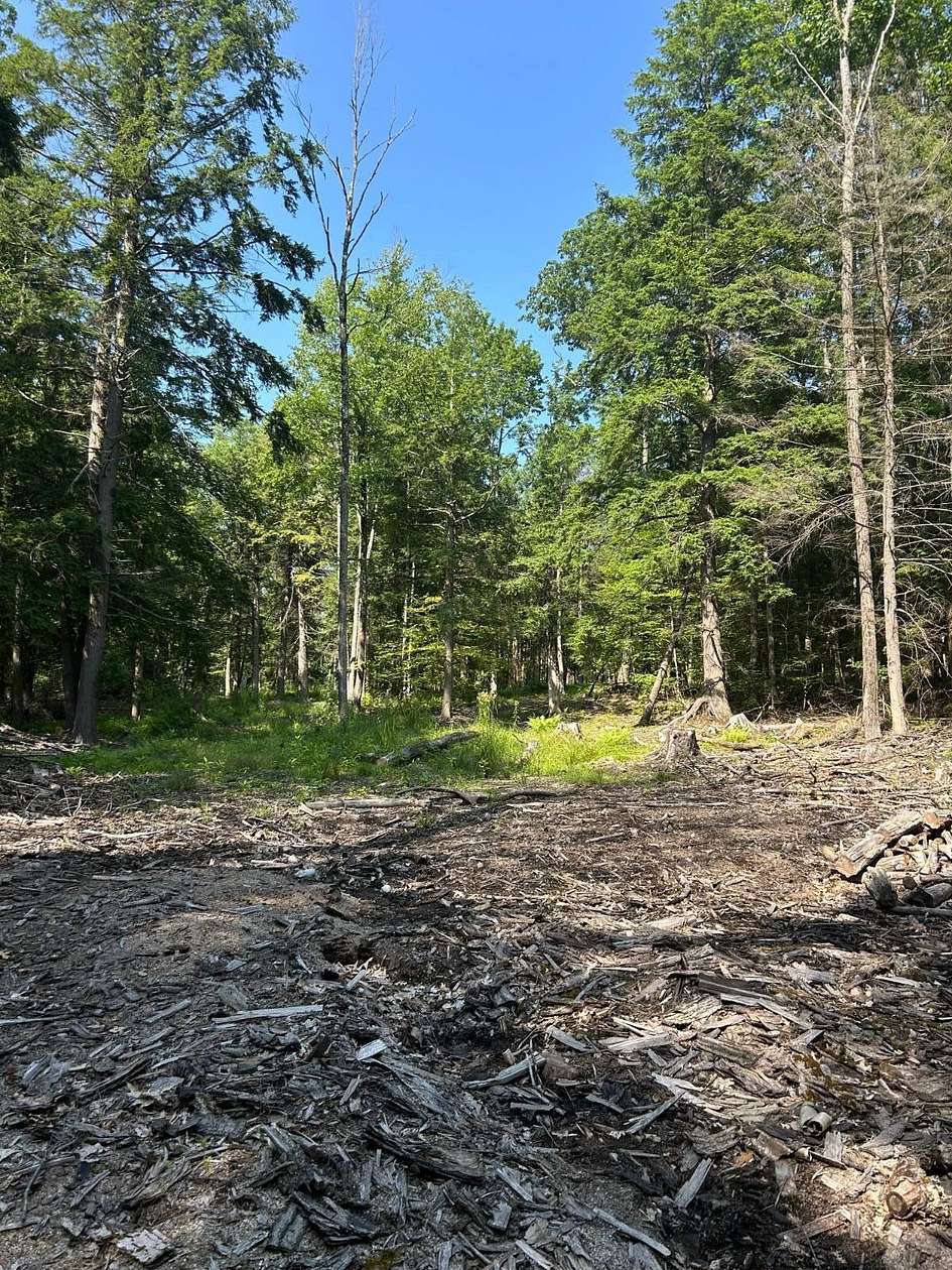 44 Acres of Recreational Land for Sale in Maryland, New York