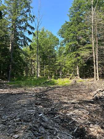 44 Acres of Recreational Land for Sale in Maryland, New York